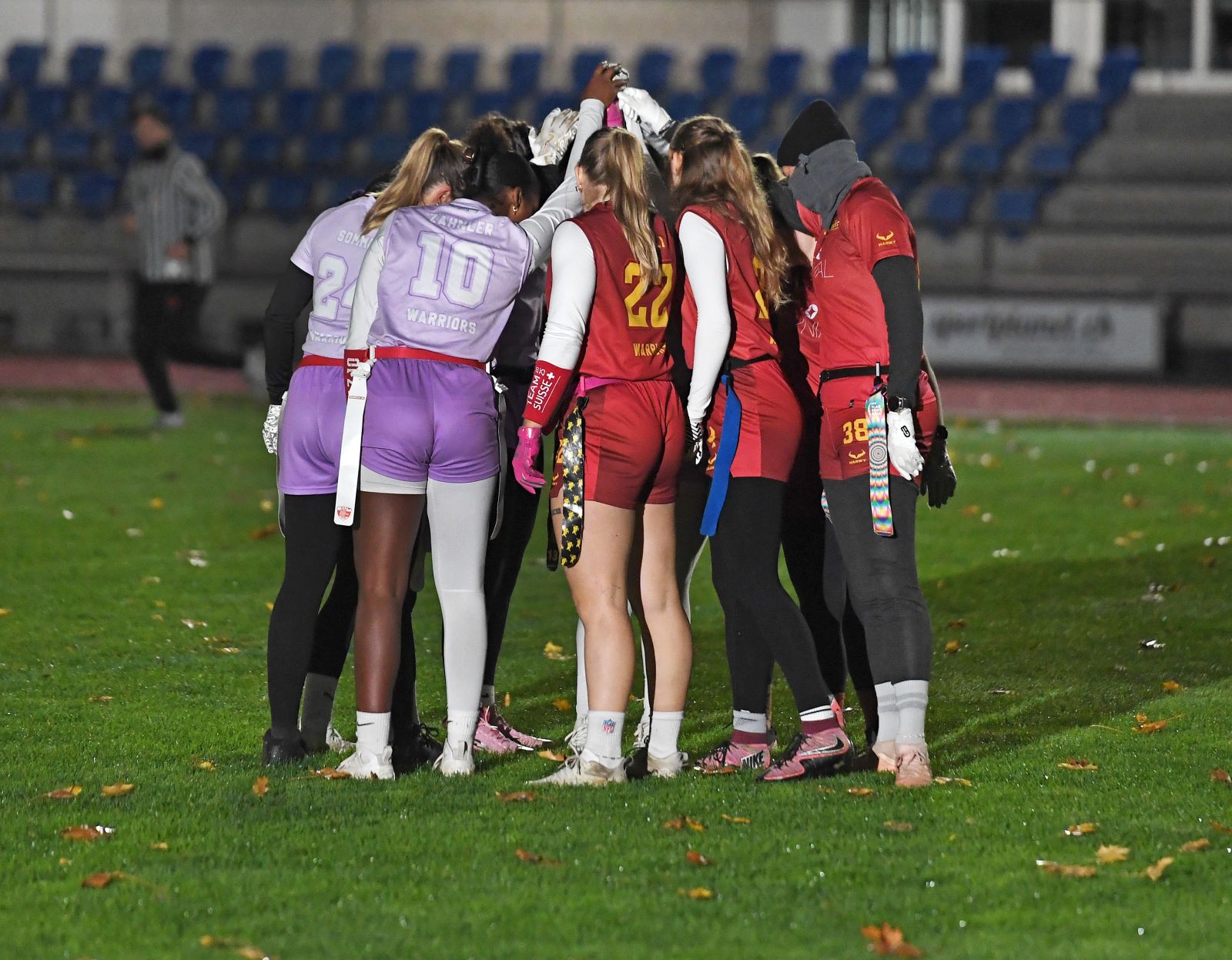 Gesch&auml;ftsbericht 2025 Flag