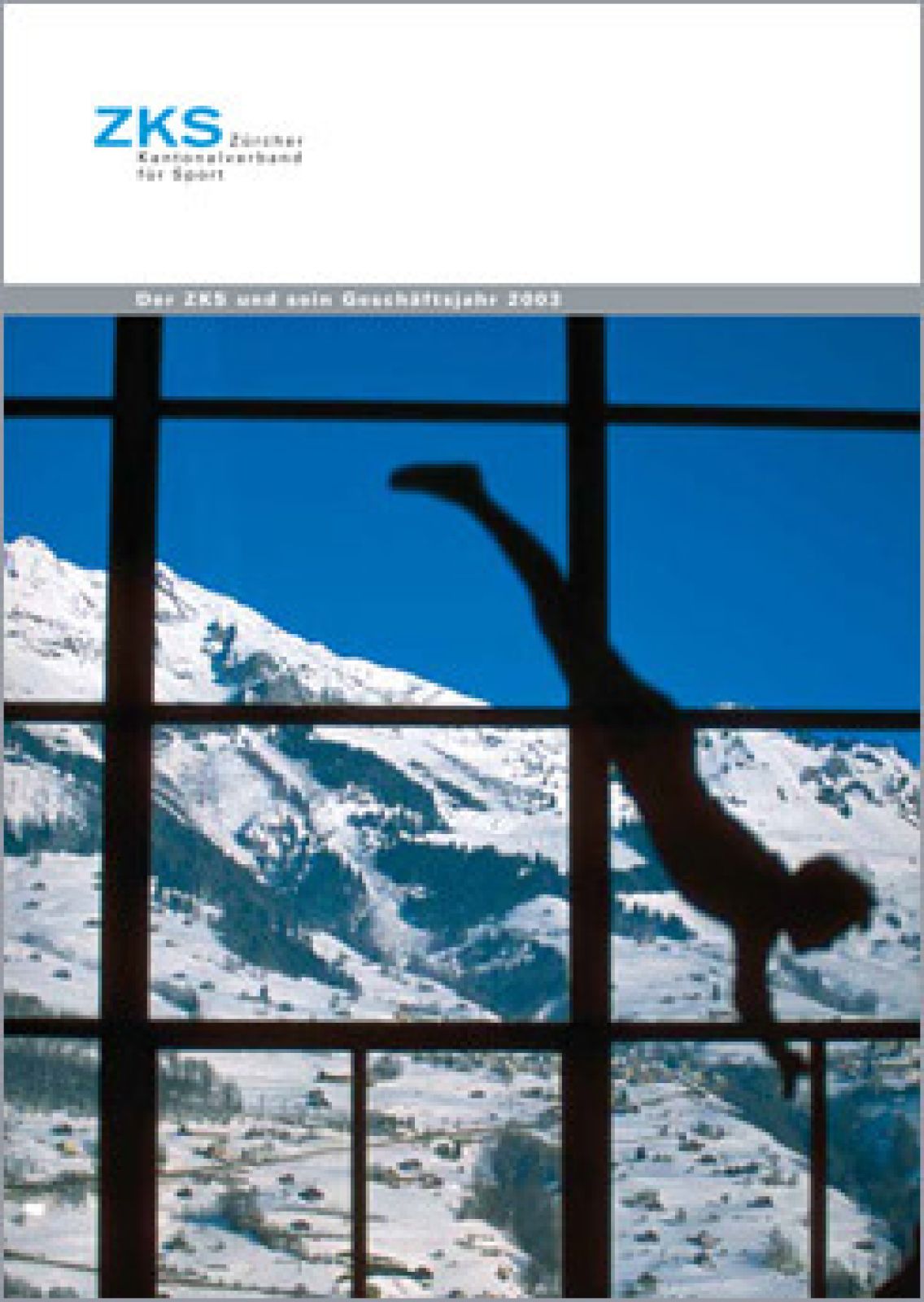 Gesch&auml;ftsbericht 2003