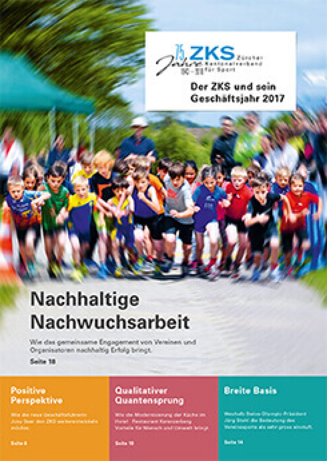 Gesch&auml;ftsbericht 2017